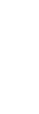 本日のおすすめ