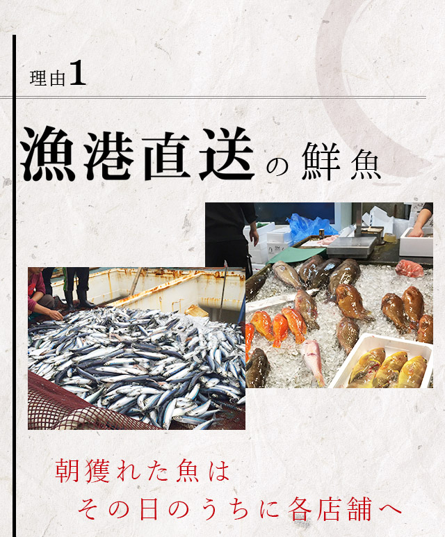 理由①漁港直送の鮮魚